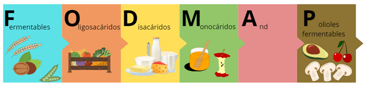 nutricionista sibo madrid